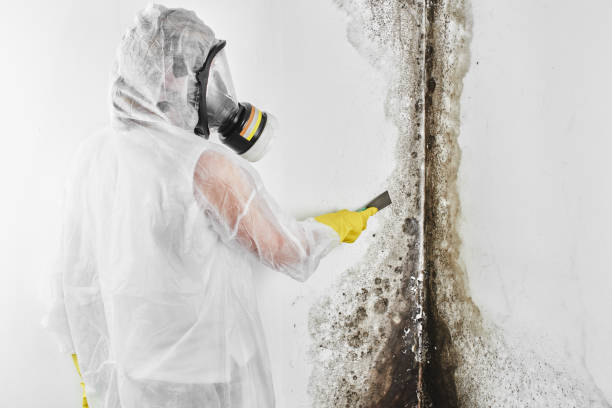 Best Mold Testing  in Yardville, NJ