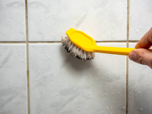 Attic Mold Removal in Yardville, NJ