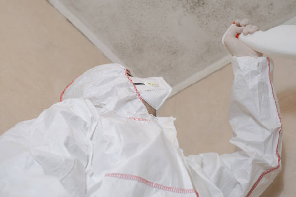 Best Certified Mold Removal  in Yardville, NJ