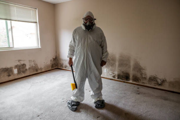 Water Damage Restoration in Yardville, NJ