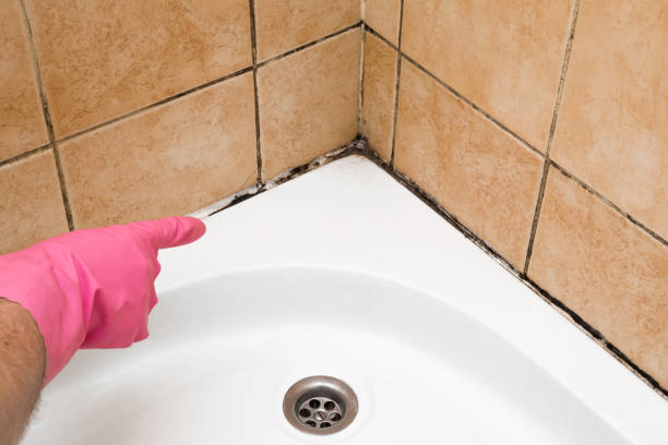 Best Toxic Mold Removal  in Yardville, NJ